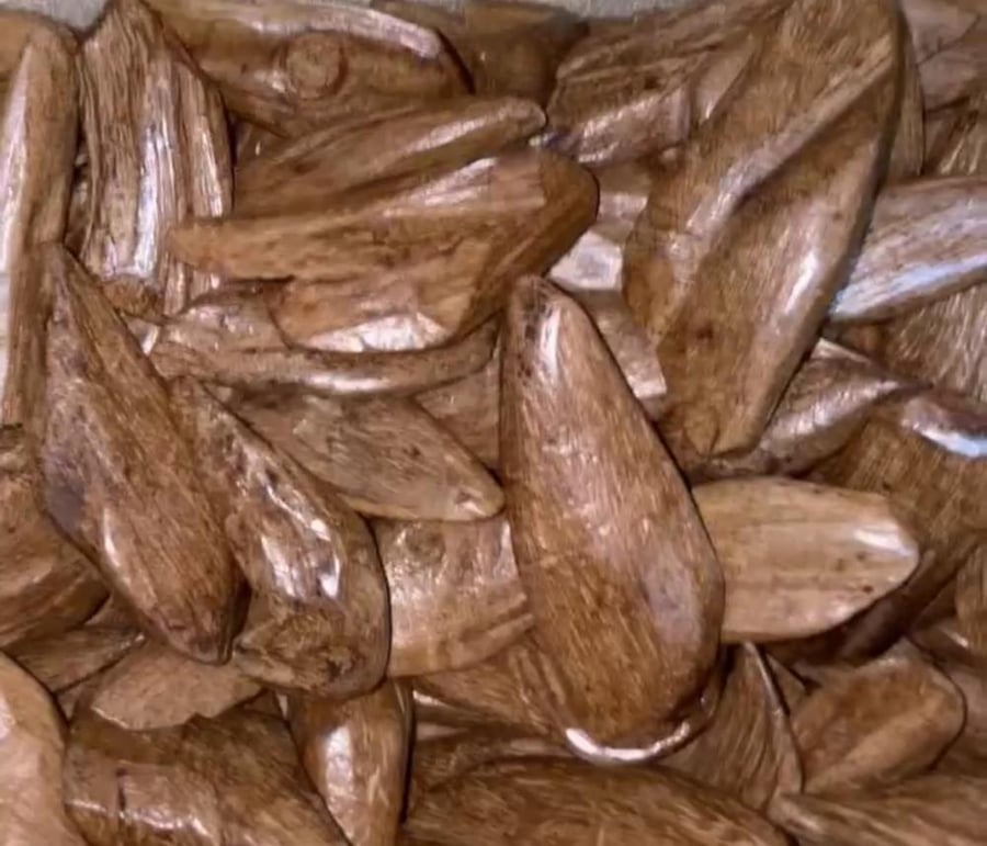العود الماروكي المحسن الكنق