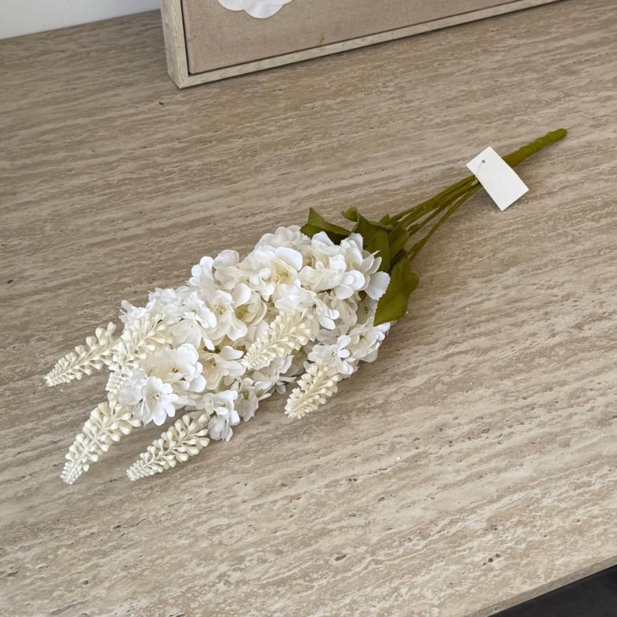 White lavender plant