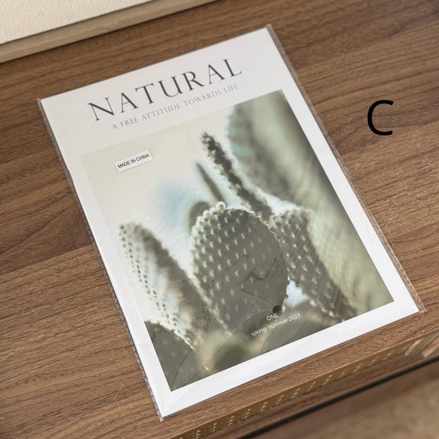 Decor book