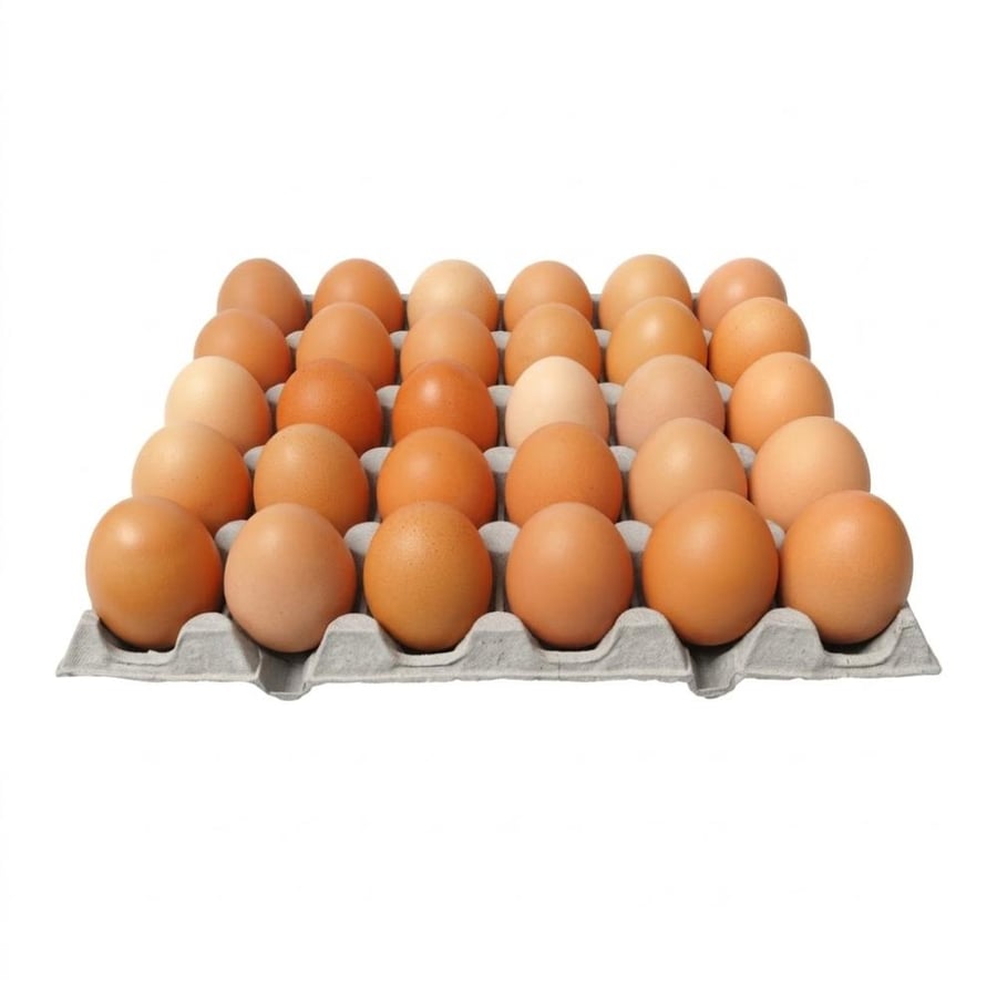 طبق بيض - بلدي  حجم وسط 30حبه