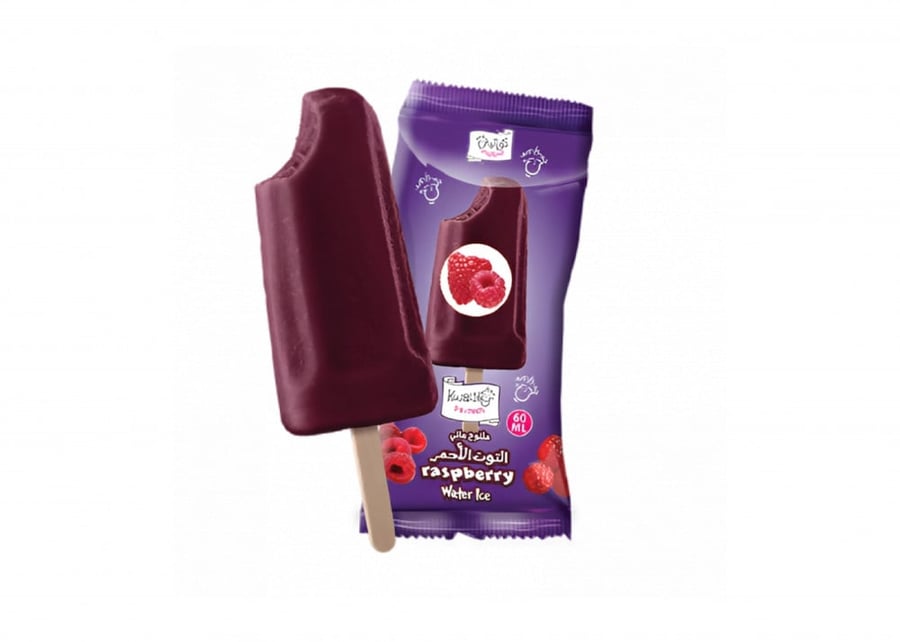 Quality ice cream bar 60 ml frozen watery with red berries