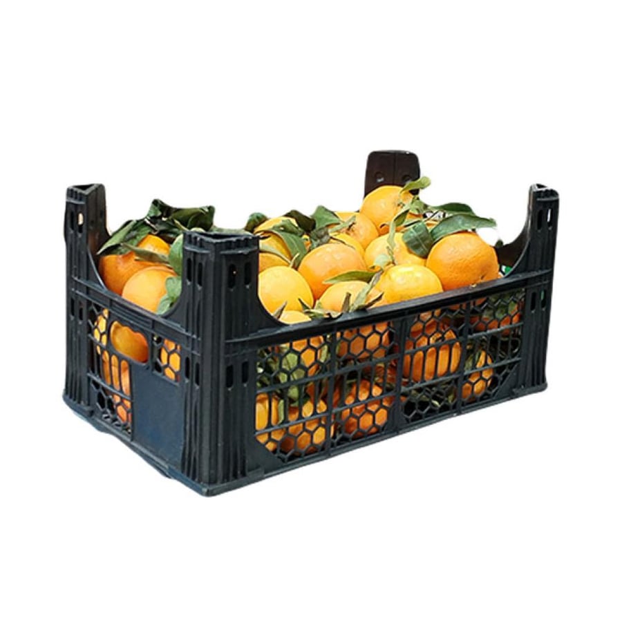 Syrian Effendi box approximately 5 kilograms