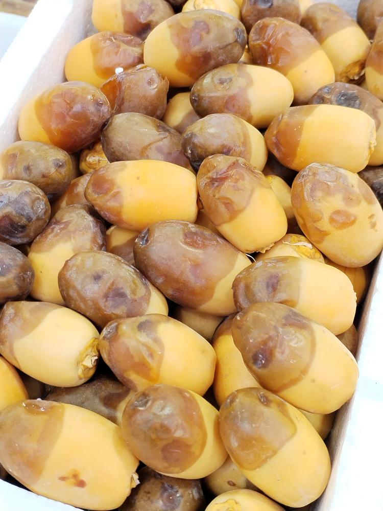 رطب لونا المدينة