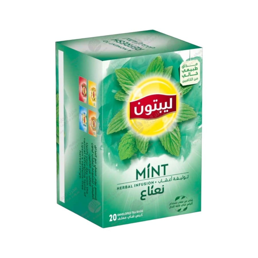 Lipton mint leaves 20 string pack 20 sachets