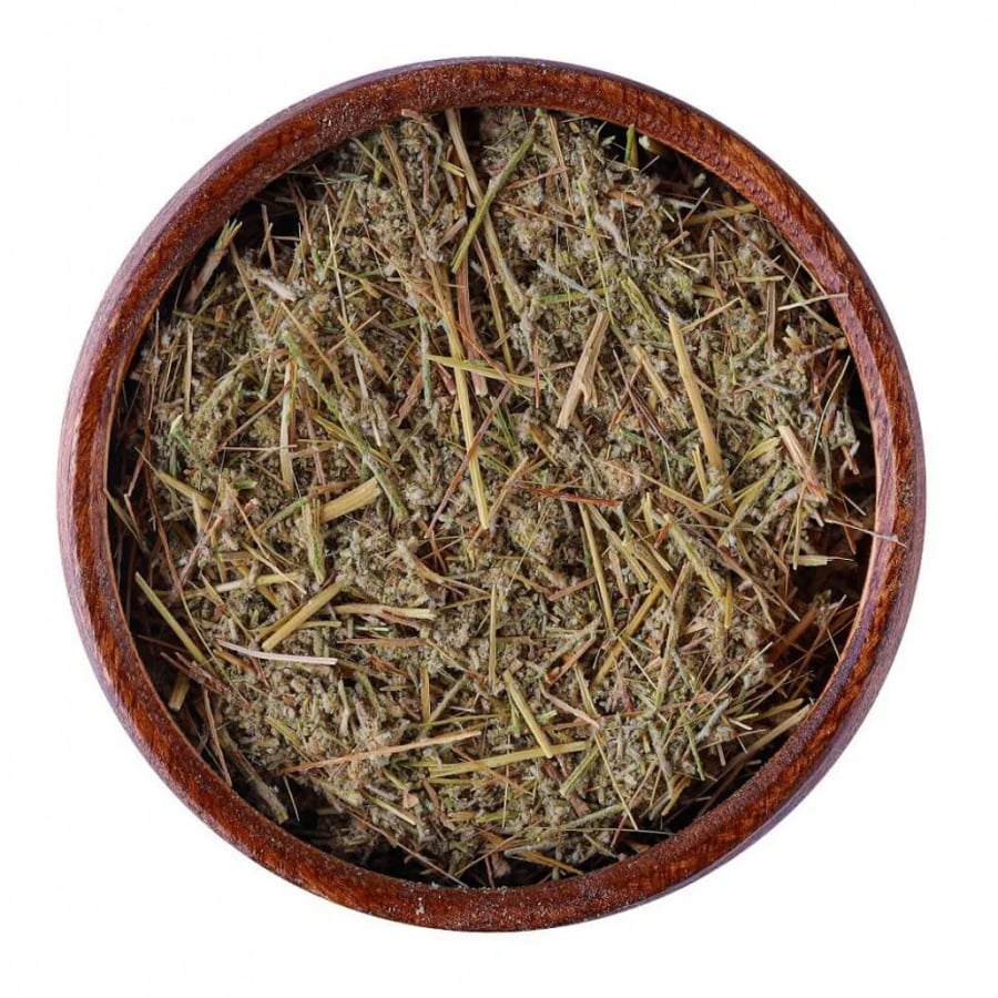 عشبة شيح بلدي
