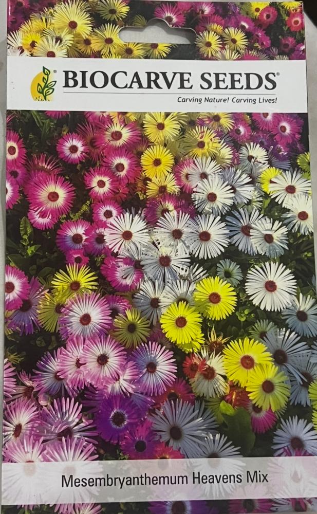 Snowflower seeds