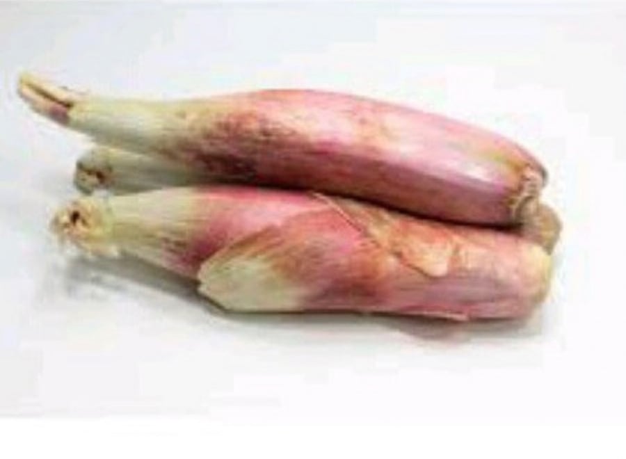 بذور بصل حساوي اخضر