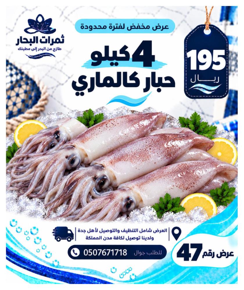 عرض 4 كيلو حبار كالاماري