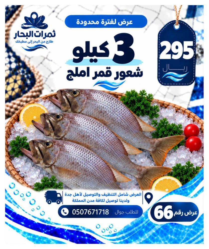 عرض 3 كيلو شعور قمر أملج