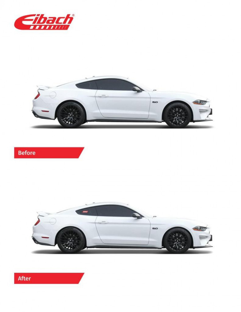 Yates Ibach Pro Kit Mustang GT Manual Ride 2018-2023 (Special request)