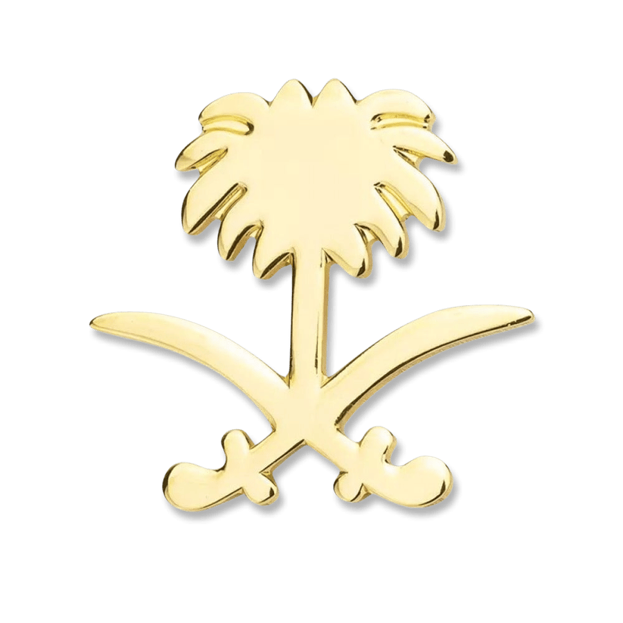 بروش سيفين و نخلة