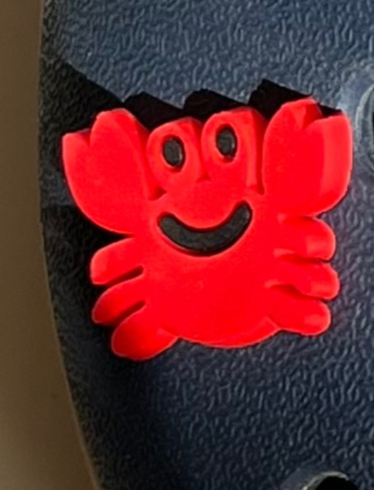 crocs charms