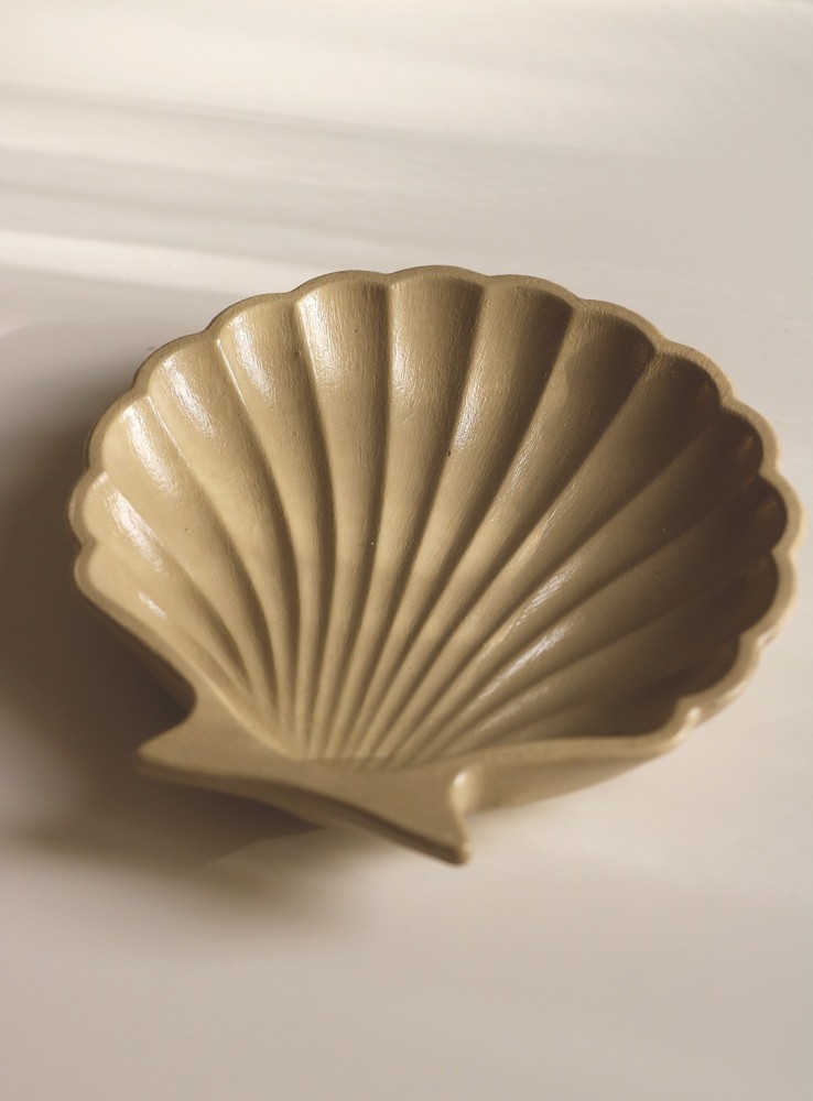 صدفة | seashell