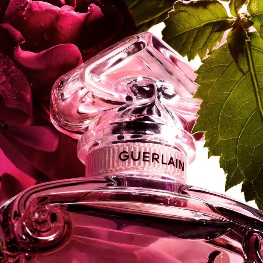 Guerlain La Petite Robe Noire Eau de Parfum Absolu 100ml