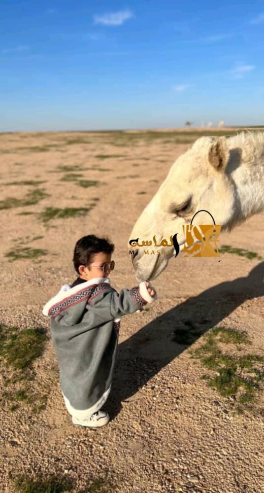 فروه اطفال مع سدو