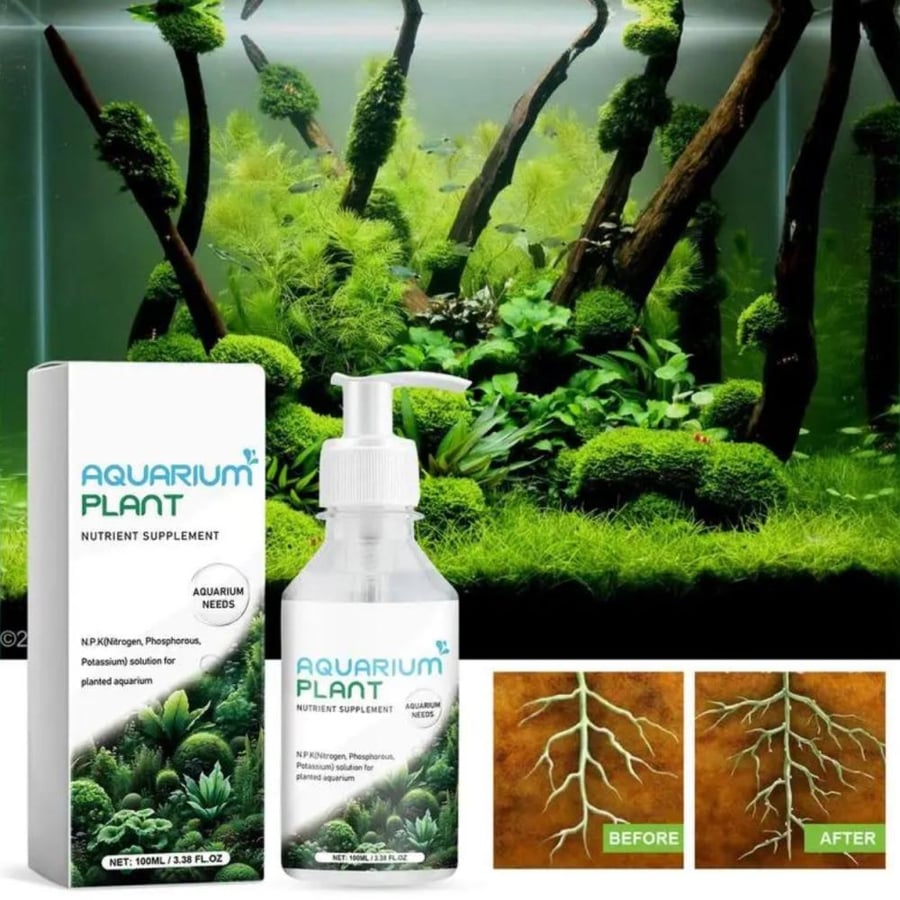 Feeding and stimulating the roots of aquatic plants (transparent