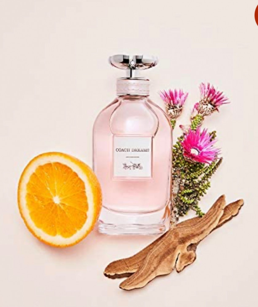 عطر كوتش دريمز او دو برفان 90 مل