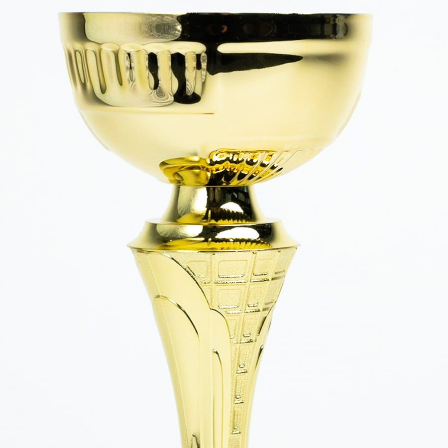 Al-Faleh Italian Sports Cup