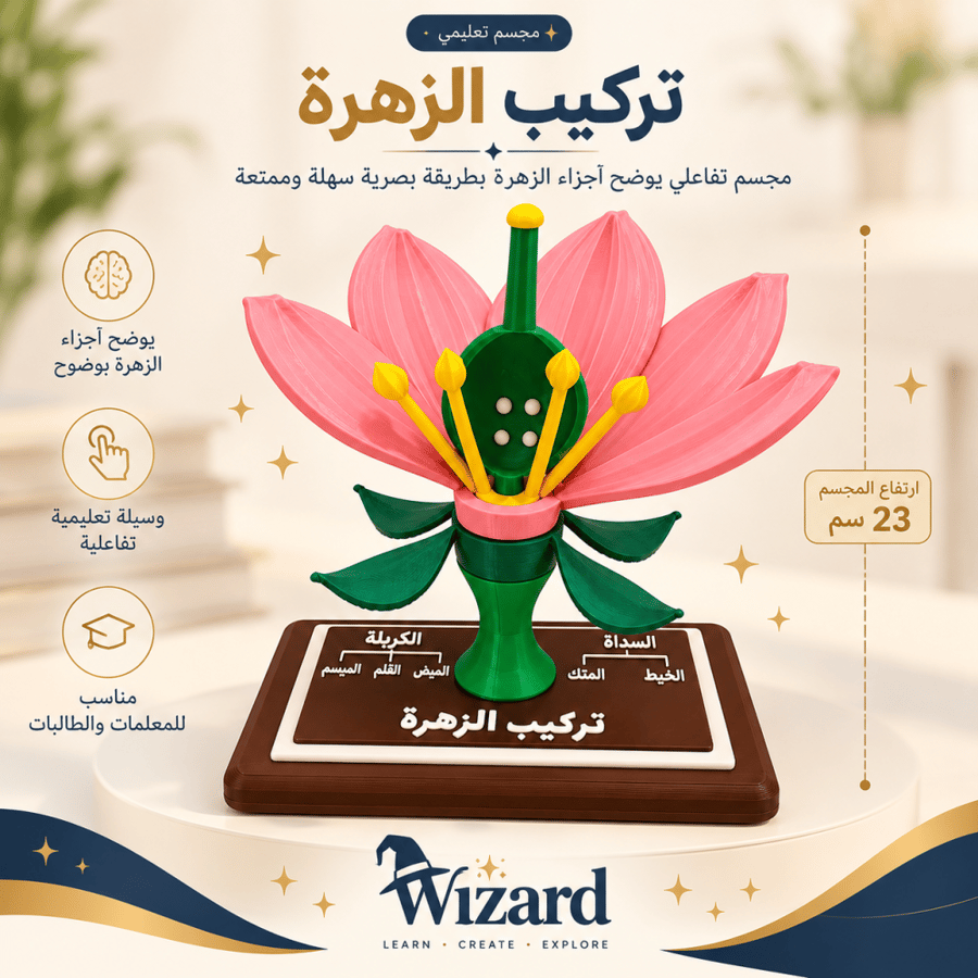 مجسم تركيب الزهرة التعليمي
