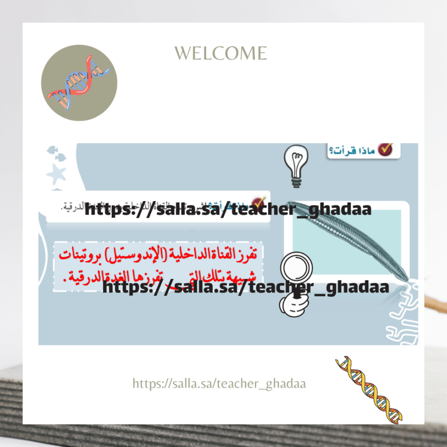 اللافقاريات الحبلية