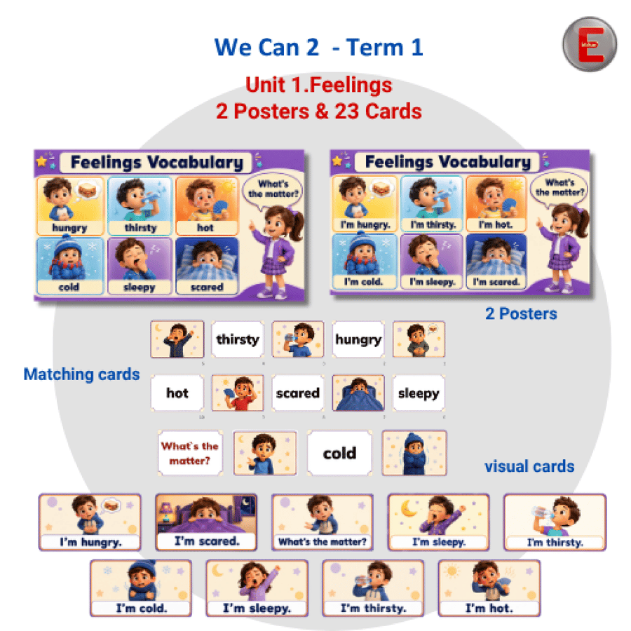 Unit1-Feelings Posters and flashcards