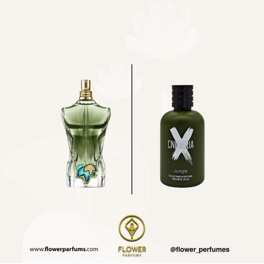 عطر صمام سنداريا اكس جنجلي - او دو بارفيوم - 100مل