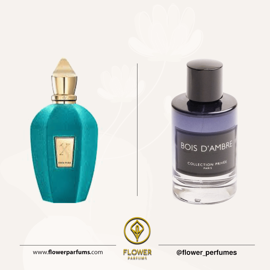 Geparlys Bois D'Ambre Eau de Parfum 100ml - عطر جيبارليس بويس دامبر أو دو برفيوم 100 مل