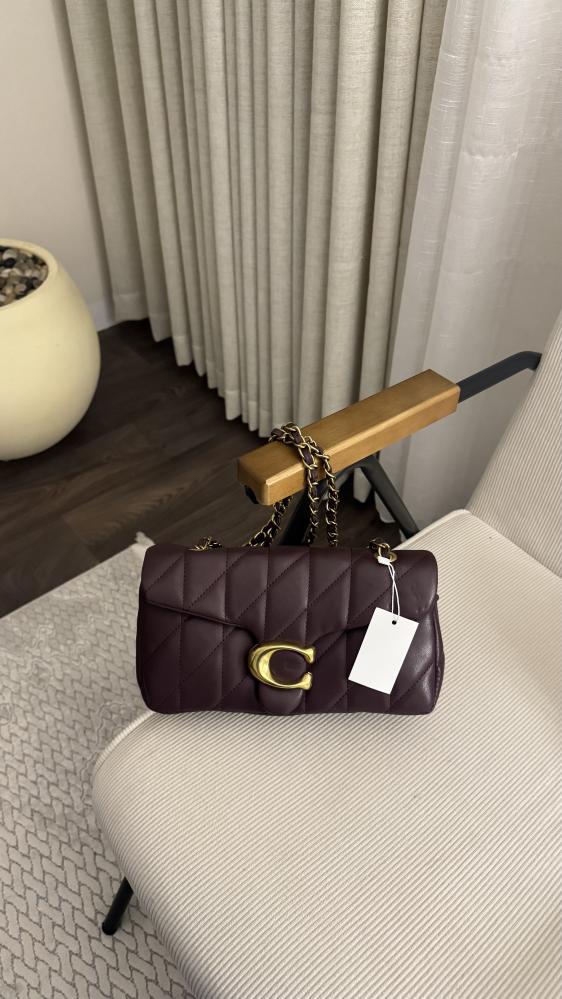 كوتش تابي