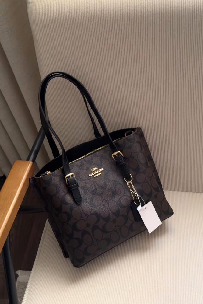 كوتش مولي 26cm
