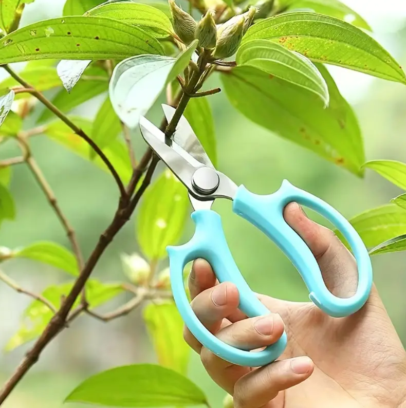 Plant trimming scissors