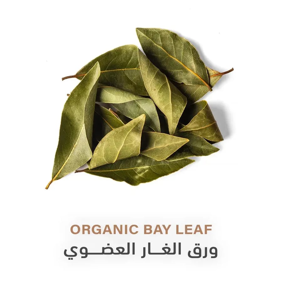 ورق غار عضوي