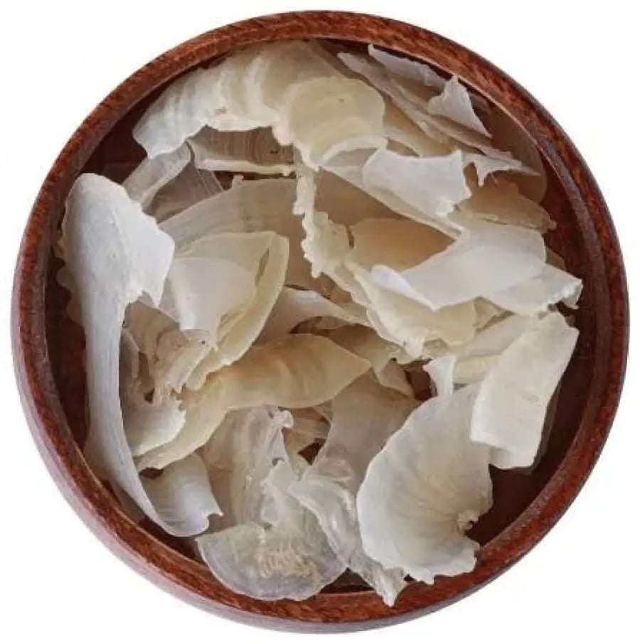عشبة الكثيرة