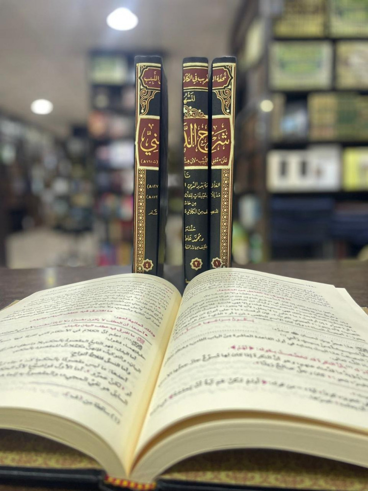 تحفة الغريب في الكلام على مغني اللبيب المشهور بـ شرح الدماميني 1/4