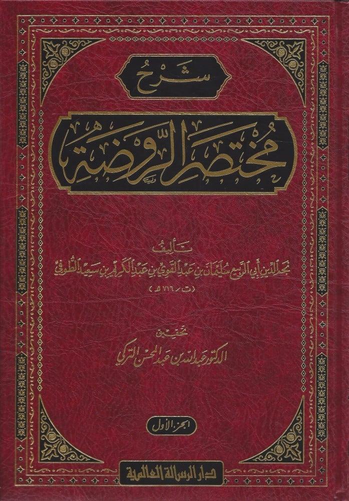 شرح مختصر الروضة - نجم الدين الطوفي 1/3