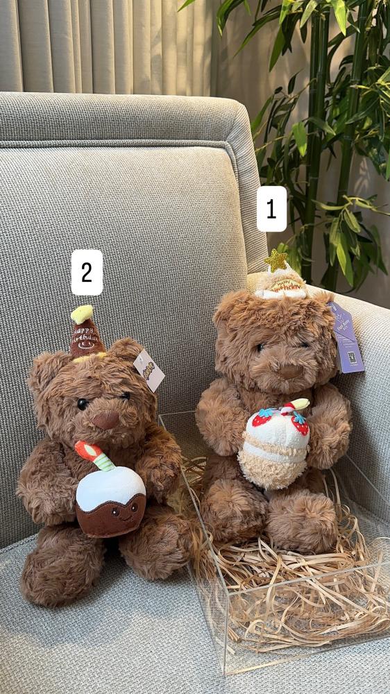 Brownie teddy bear + acrylic box