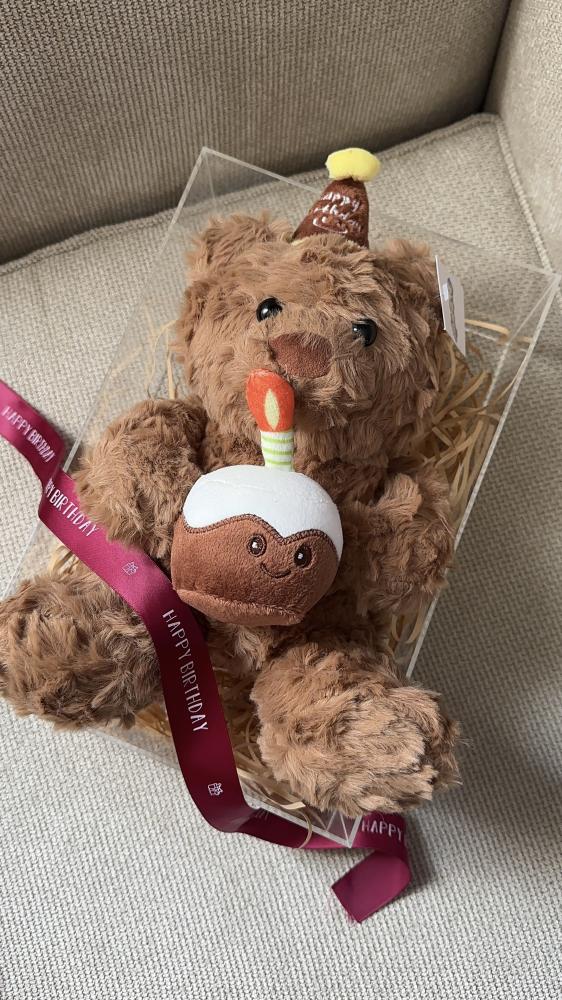 Brownie teddy bear + acrylic box