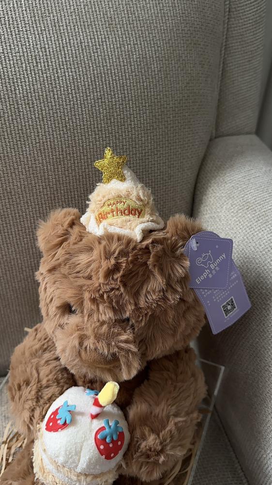 Brownie teddy bear + acrylic box