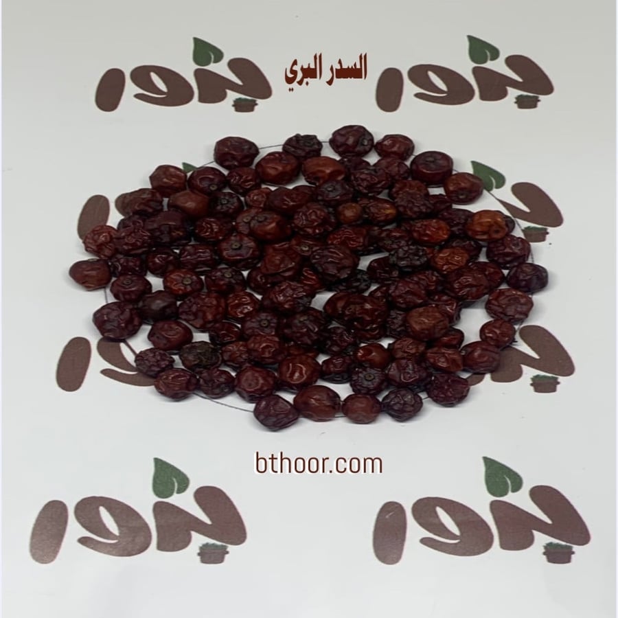 صورة بذور السدر البري