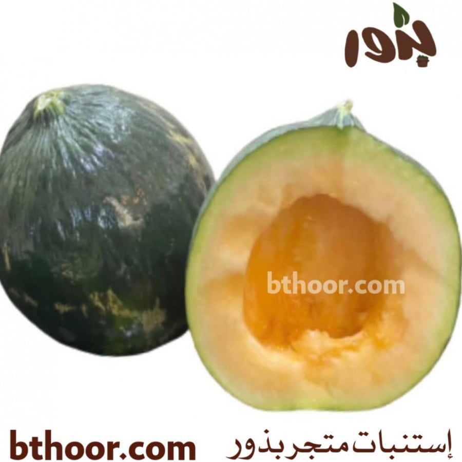 بذور شمام الكاسب-متجر بذور الزراعي