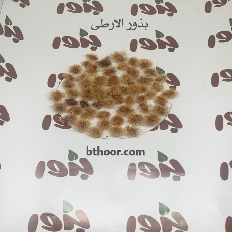 صورة بذور الارطى - متجر بذور الزراعي
