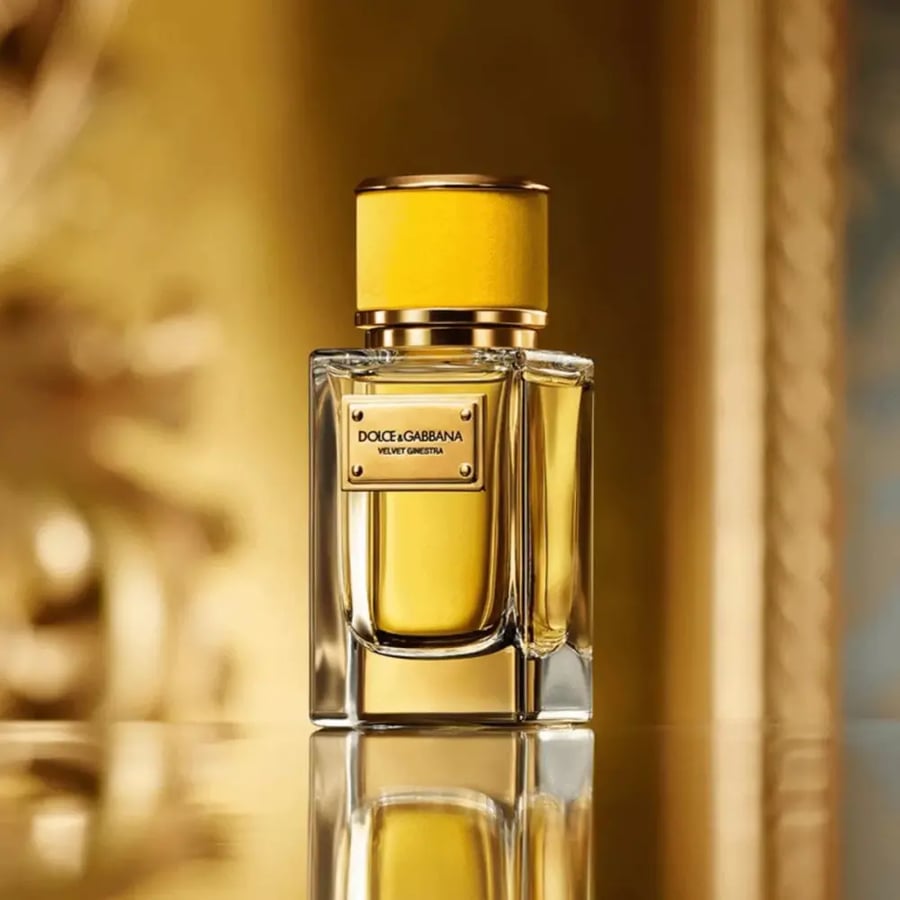 عطر فيلفت جانيسترا من دولتشي آند غابانا أو دو برفيوم للنساء 150 مل