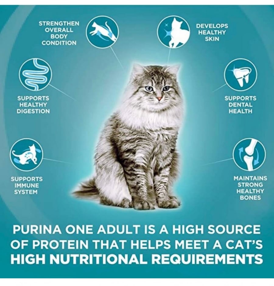 طعام جاف للقطط البالغة بسمك التونا من شركة Purina