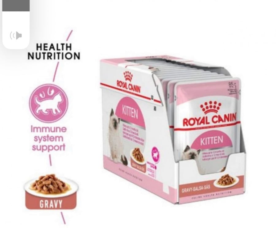 رويال كانين اظرف طعام رطب للكيتن Royal Canin 85g