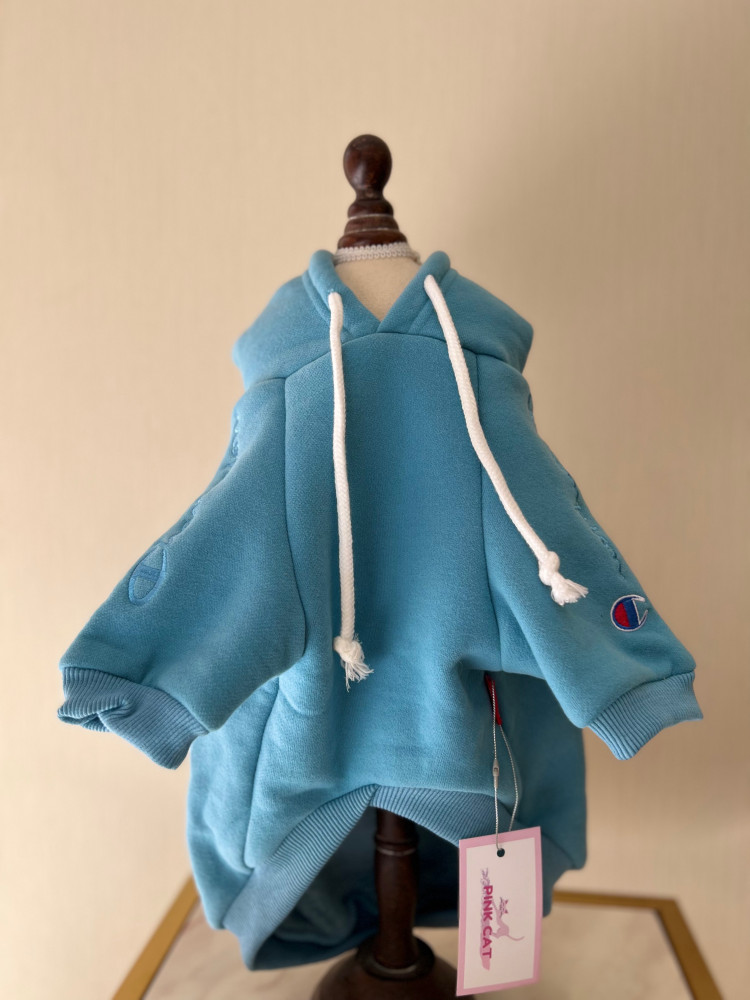 blue hoodie