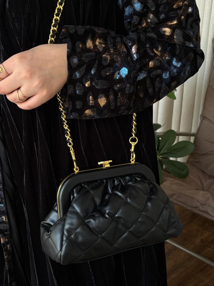 Chanel bags master