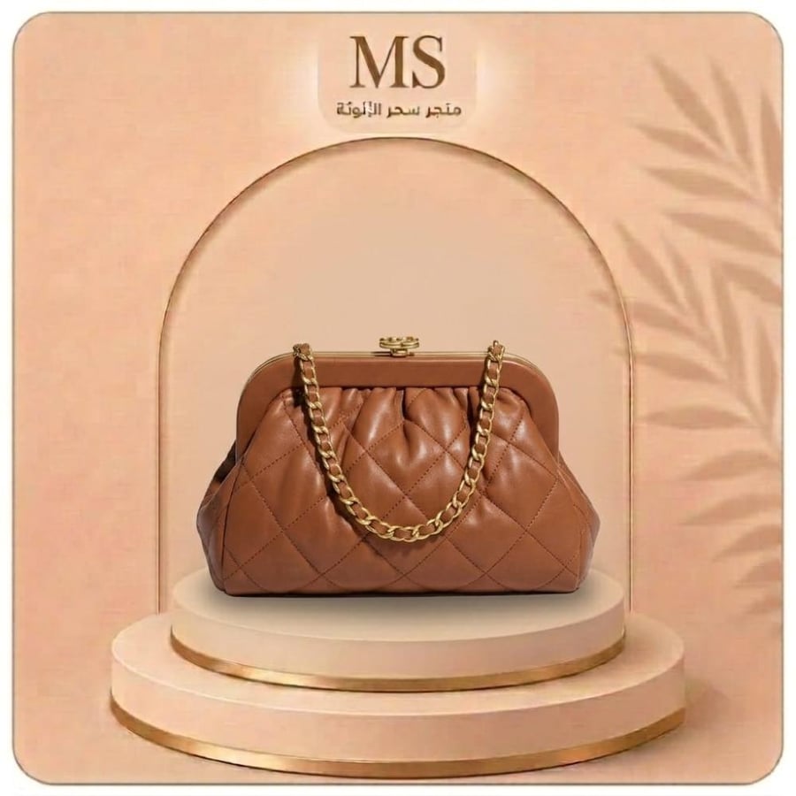 Chanel bags master