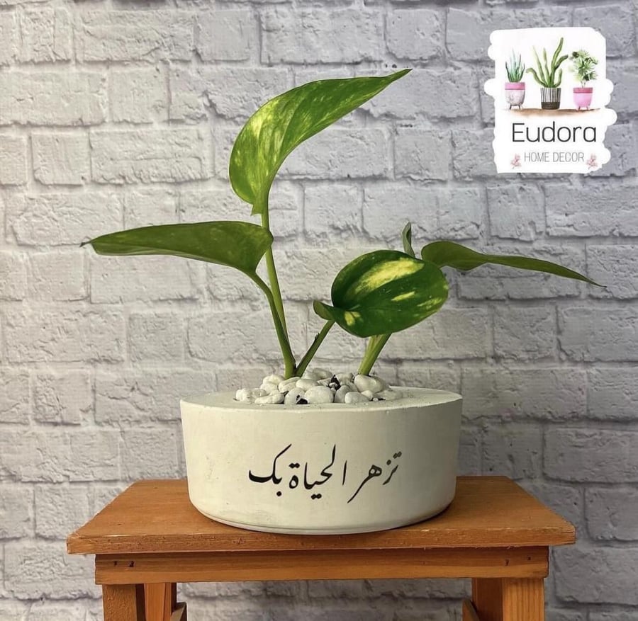 كونكريت حكايا مع عبارة