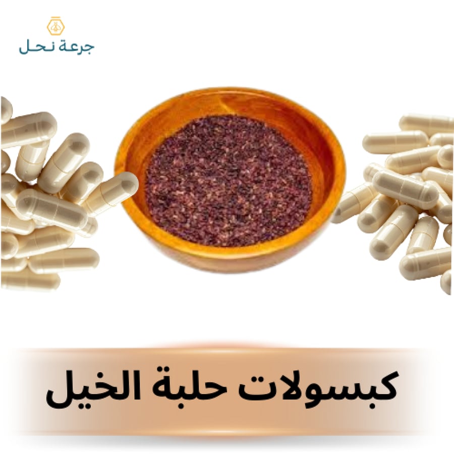 حبوب حلبة الخيل