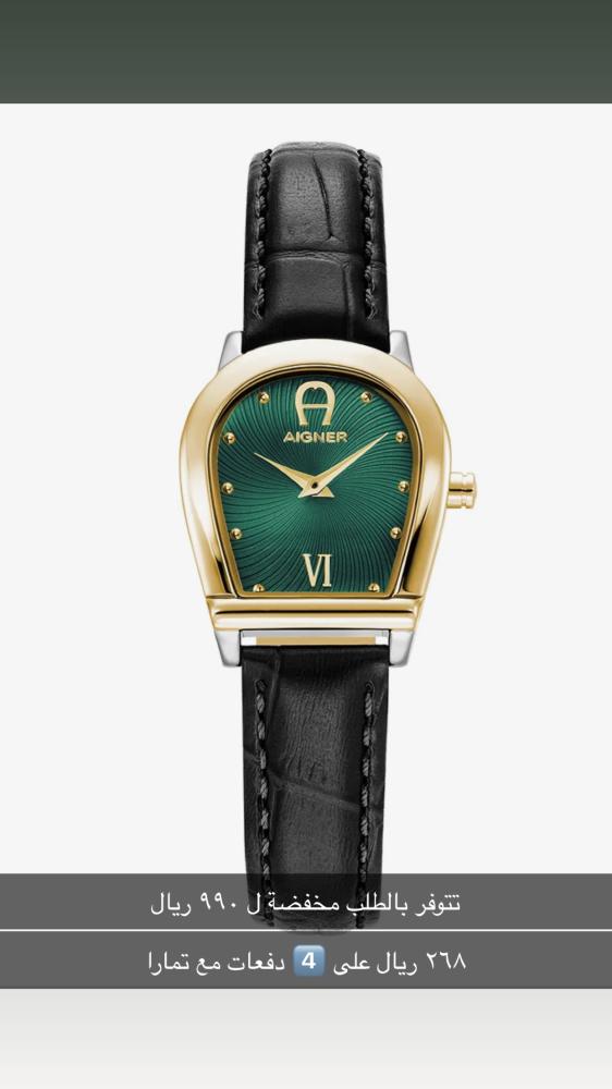 Aigner Leather Watch - Black, Gold and Green