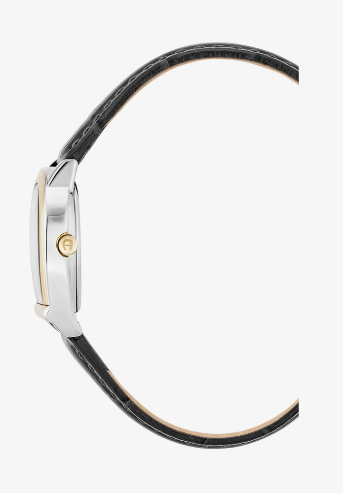 Aigner Leather Watch - Black, Gold and Green